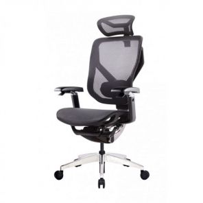  GT Chair VIDA X